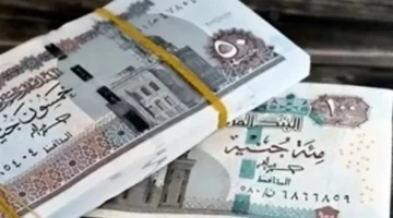 معاش شهري.. إجراءات انضمام عمال الزراعة ومربيي الماشية لنظام التأمينات الاجتماعية